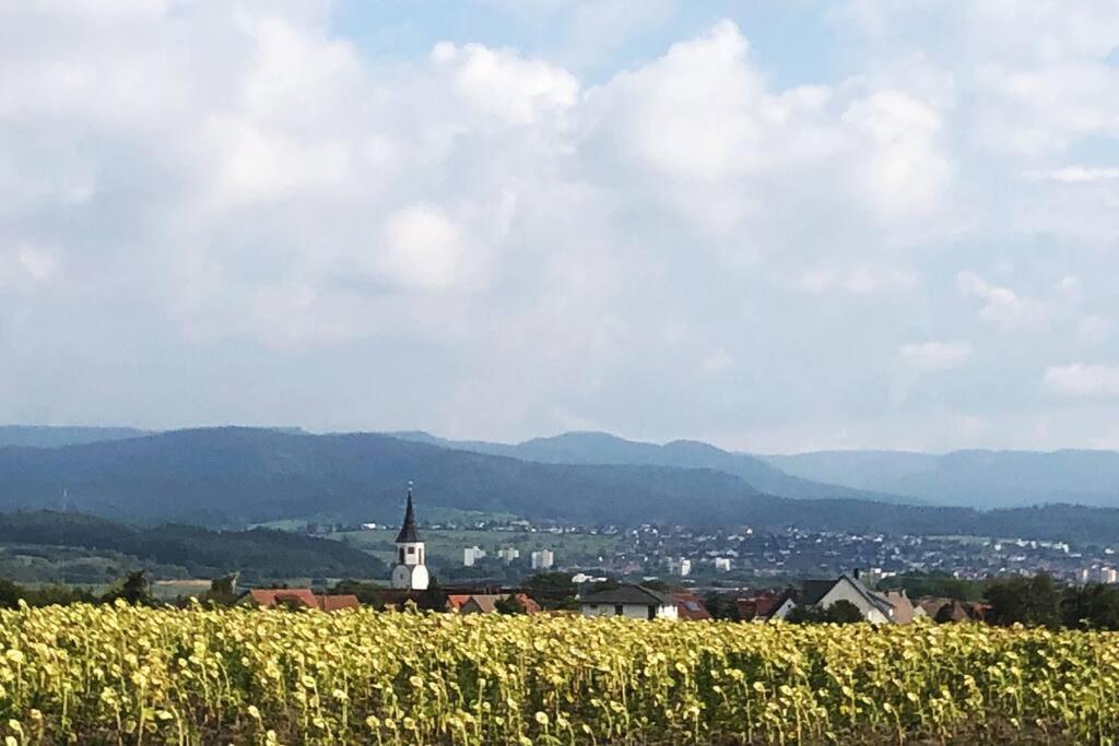 Kleines Haeuschen Zum Wohlfuehlen Daire Balingen Dış mekan fotoğraf